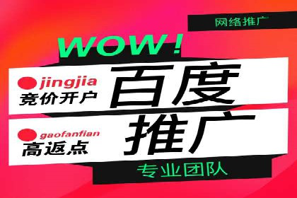 某知名企业SEM营销全案解析